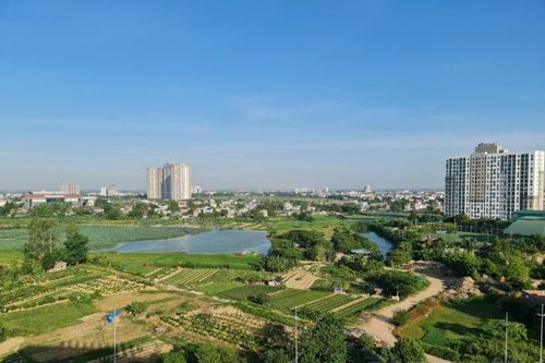 Thanh Hóa: Không giao, cho thuê đất để thực hiện các dự án đất đối với quỹ đất chưa có quy hoạch
