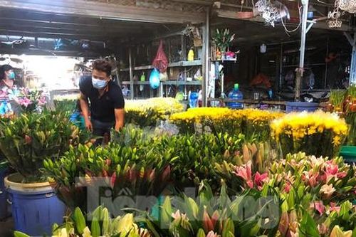 Chợ hoa Đầm Sen chờ khách ngày đầu mở lại