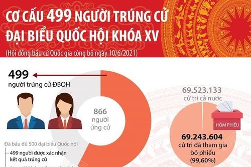 Cơ cấu 499 người trúng cử đại biểu Quốc hội khóa XV