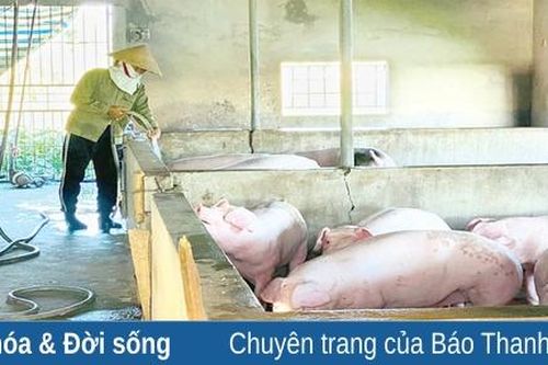 Yên Dương nỗ lực về đích nông thôn mới