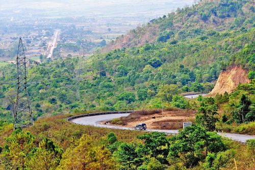 Người trồng rừng lãng mạn