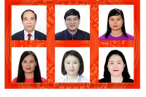6 ứng cử viên tại Tuyên Quang trúng cử đại biểu Quốc hội khóa XV
