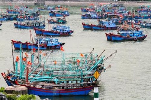 Hải Phòng; Yêu cầu các phương tiện hoạt động trên biển về nơi tránh trú bão