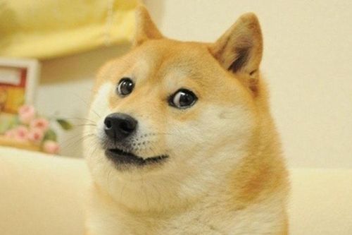 Biểu tượng Dogecoin được bán giá 4 triệu USD