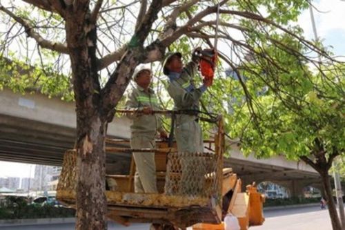 Hà Nội chủ động ứng phó cơn bão số 2