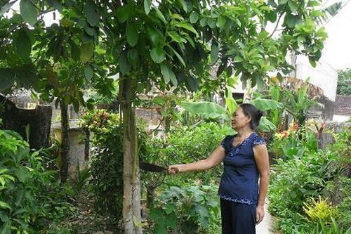 Khám phá 'Tết kì lạ nhất của người Việt'