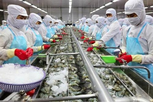 Ngành thủy sản: Kinh doanh thuận lợi, cổ phiếu nhiều doanh nghiệp bật tăng