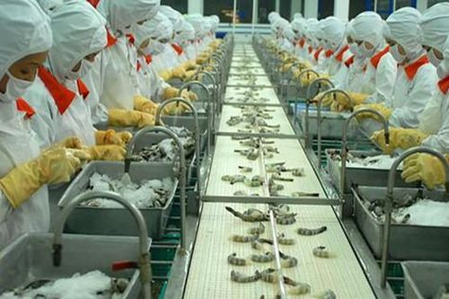 Cảng Trung Quốc tạm dừng nhập khẩu thực phẩm đông lạnh từ Việt Nam