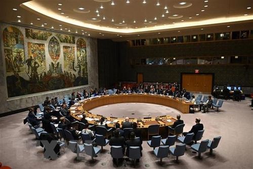 Albania, Brazil, Gabon, Ghana và UAE được bầu vào HĐBA Liên hợp quốc