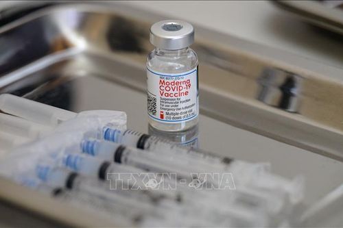 Moderna bác bỏ liên hệ giữa vaccine với chứng viêm tim