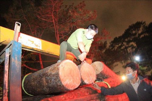 Xác định nhóm đối tượng phá rừng phòng hộ ở Khu du lịch Tuyền Lâm – Đà Lạt