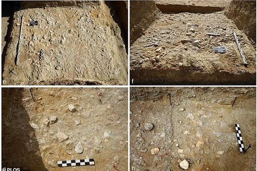 Phát hiện công cụ đá kỳ lạ trong mỏ vàng cách đây 1 triệu năm
