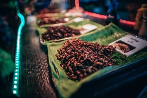10 món ăn kỳ lạ nhất định phải thử khi du lịch đến Thái Lan
