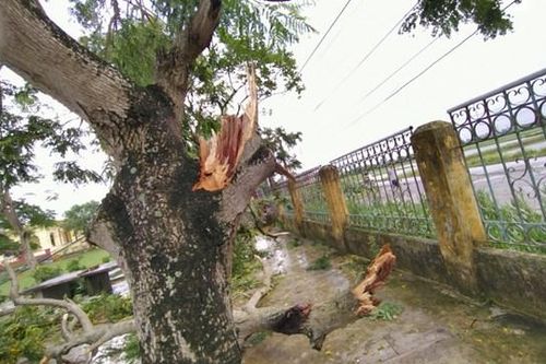 Thái Bình: Một cơn dông cuốn bay tiền tỷ