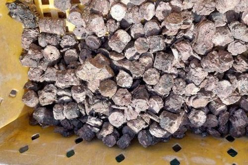 Ngư dân Quảng Bình phát hiện kho tiền xu cổ dưới đáy biển