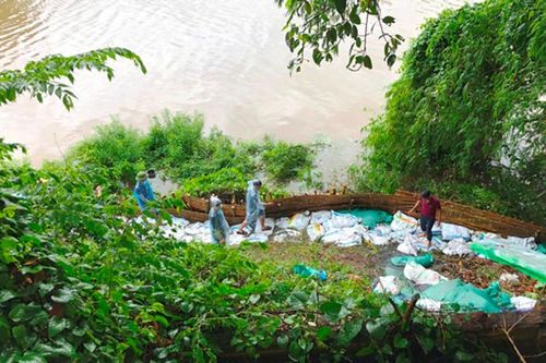 Mưa lớn gây sạt lở đê sông Đáy