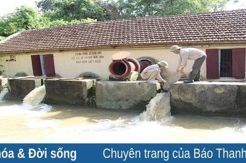 Nỗ lực cung ứng nước tưới phục vụ sản xuất vụ thu mùa