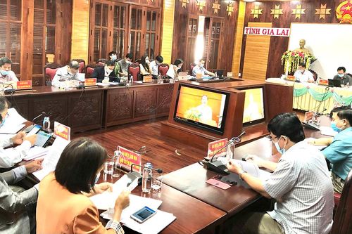 Gần 833 tỷ đồng hỗ trợ cho chăn nuôi nông hộ