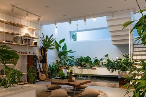 Ngôi nhà yên bình có cây xanh ở khắp mọi nơi
