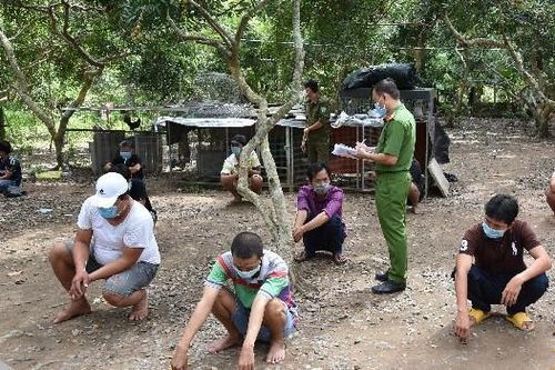 Treo bảng 'không tiếp khách chống dịch' rồi đóng cửa, tổ chức đá gà ở Tiền Giang