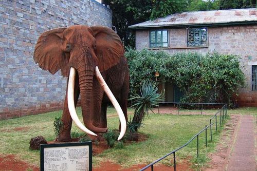 Những điểm đến không thể bỏ qua ở Kenya