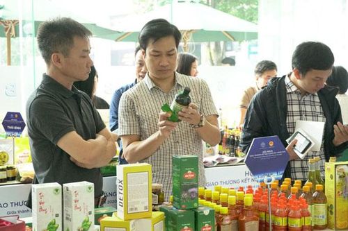 Hỗ trợ doanh nghiệp vượt 'bão' Covid-19