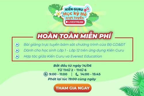 Kiến Guru triển khai học kỳ hè trực tuyến miễn phí