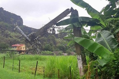 Cơ bản cấp điện trở lại cho khách hàng bị ảnh hưởng của bão số 2