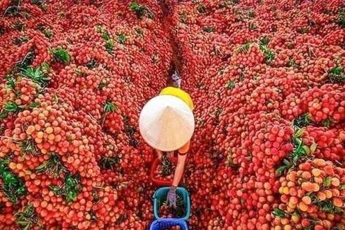 Vừa ngơi bão lại nắng nóng kéo dài nhiều ngày