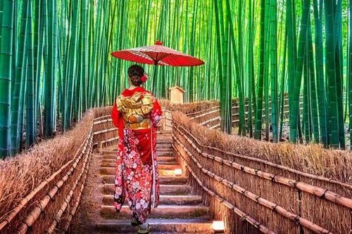 Lạc lối trong rừng tre Arashiyama - niềm tự hào của cố đô Kyoto