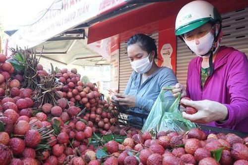 Vải thiều 'hút' người mua dịp Tết Đoan Ngọ