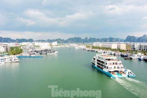Hàng chục nghìn tỷ 'trôi' trên vịnh Hạ Long