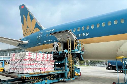 Hãng bay Việt chuyển hướng 'cõng' hàng hóa để sống sót trước COVID-19