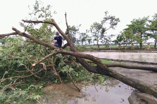 Các địa phương khắc phục hậu quả do bão số 2 và mưa lũ sau bão