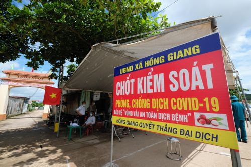 Bắc Giang: Giá vải thiều ổn định và sẽ tăng lên khi vào chính vụ