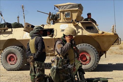 Afghanistan bắt giữ chỉ huy chủ chốt của Taliban
