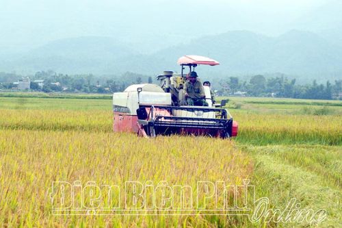 Cơ giới hóa trong sản xuất nông nghiệp còn hạn chế