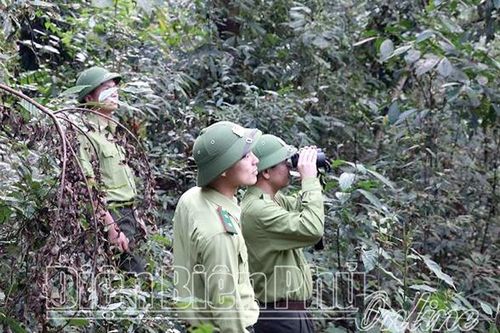 Phát triển lâm nghiệp bền vững