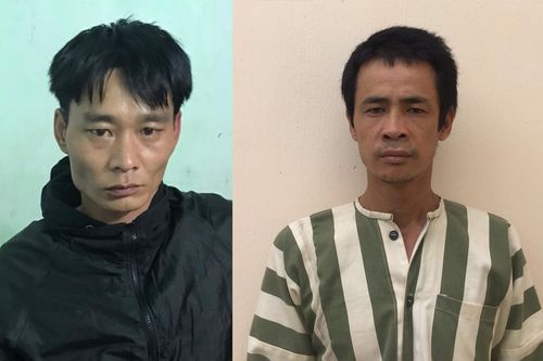 Bắt giữ 2 đối tượng trộm cắp xe máy