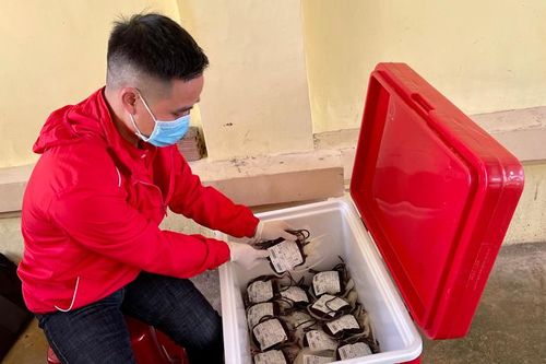 Chương trình Giọt hồng tặng bé huy động 84 đơn vị máu