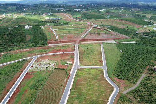 Tạm đình chỉ công tác Trưởng phòng Quản lý Đô thị Bảo Lộc