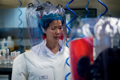 Nhà virus học ở viện Vũ Hán: 'Sao buộc tôi đưa ra bằng chứng'