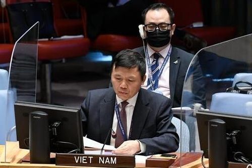 Việt Nam kêu gọi các bên tại Mali kiềm chế, giải quyết khác biệt thông qua đối thoại, tham vấn