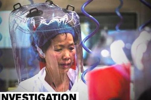 Nhà dơi học Trung Quốc lên tiếng về thí nghiệm gây tranh cãi ở Vũ Hán