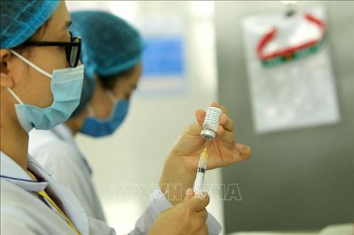 Doanh nghiệp ở Hải Phòng kiến nghị ưu tiên nguồn vaccine ho người lao động