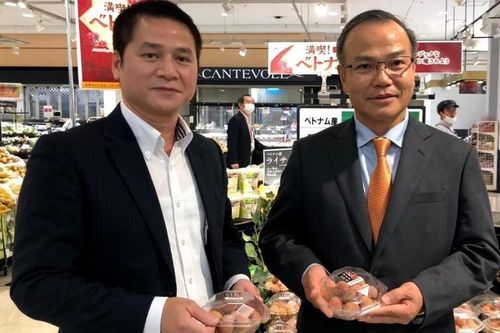 Đa dạng phương thức xúc tiến tiêu thụ vải thiều sang Nhật Bản