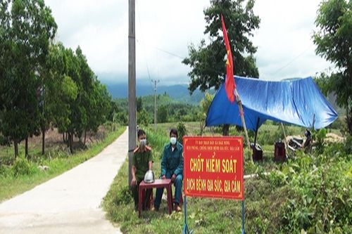 Kông Chro công bố dịch viêm da nổi cục trên trâu, bò tại 2 xã Đak Tơ Pang và Đak Song