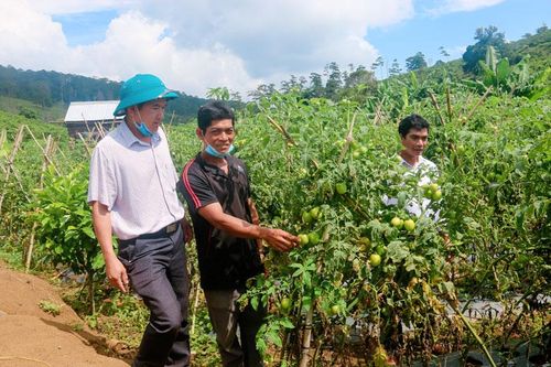 Đảng bộ xã Đinh Trang Thượng gắn công tác xây dựng Đảng với phát triển kinh tế