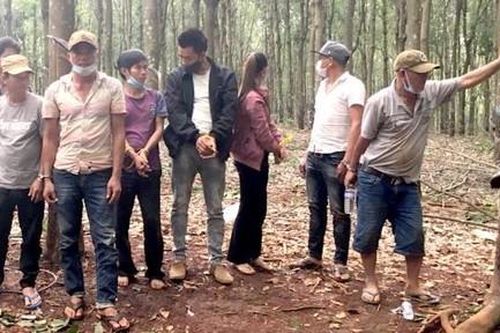 Cảnh sát đóng vai công nhân cạo mủ cao su, đột kích sòng bạc