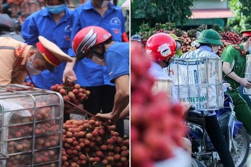 Công an Bắc Giang căng mình điều tiết giao thông trong mùa thu hoạch vải thiều
